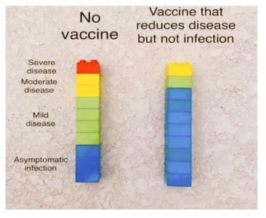 Mitos de las vacunas contra el Covid 1